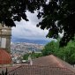 IMG_20220522_114341