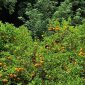 IMG_20220522_115407