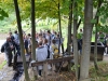 gorlice11