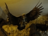 dscf3004