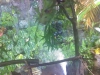 imag0186