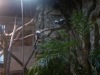 imag0190