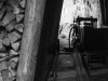 dsc_7436