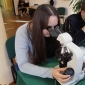 dsc00170