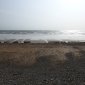 DSCN2449