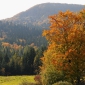 emkowyna-14-10-17-220