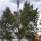 20190930_111214