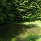 20170601_100426
