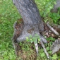 20170601_101706