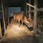 img_20200305_121414
