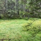 IMG_7381-min