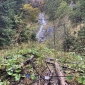 IMG_7445-min